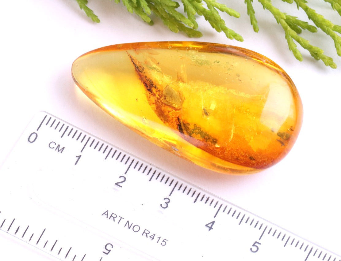 Polished Baltic Amber with 3 Insect Inclusions