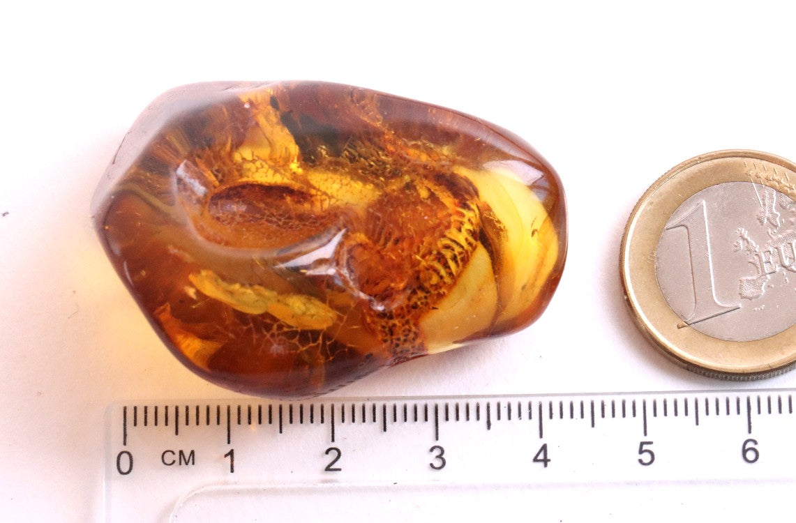 Natural Amber Gemstone with a Natural Hole