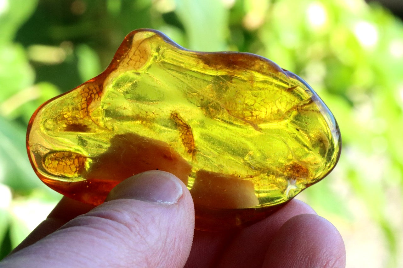 Baltic Amber Gemstone Clear Natural Amber for Protection and Luck