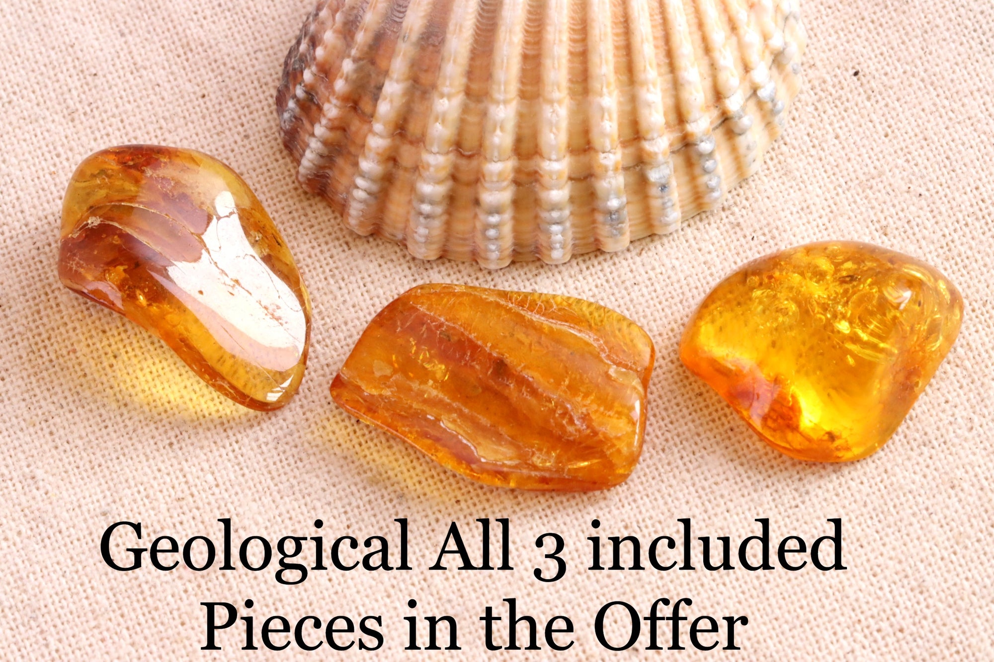 Geological All 3 Insect Inclusions included Pieces in the Offer
