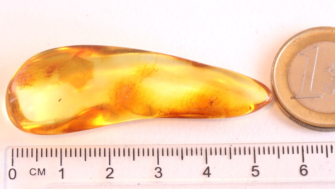 Amber gem with 2 X 40 million year old Insect