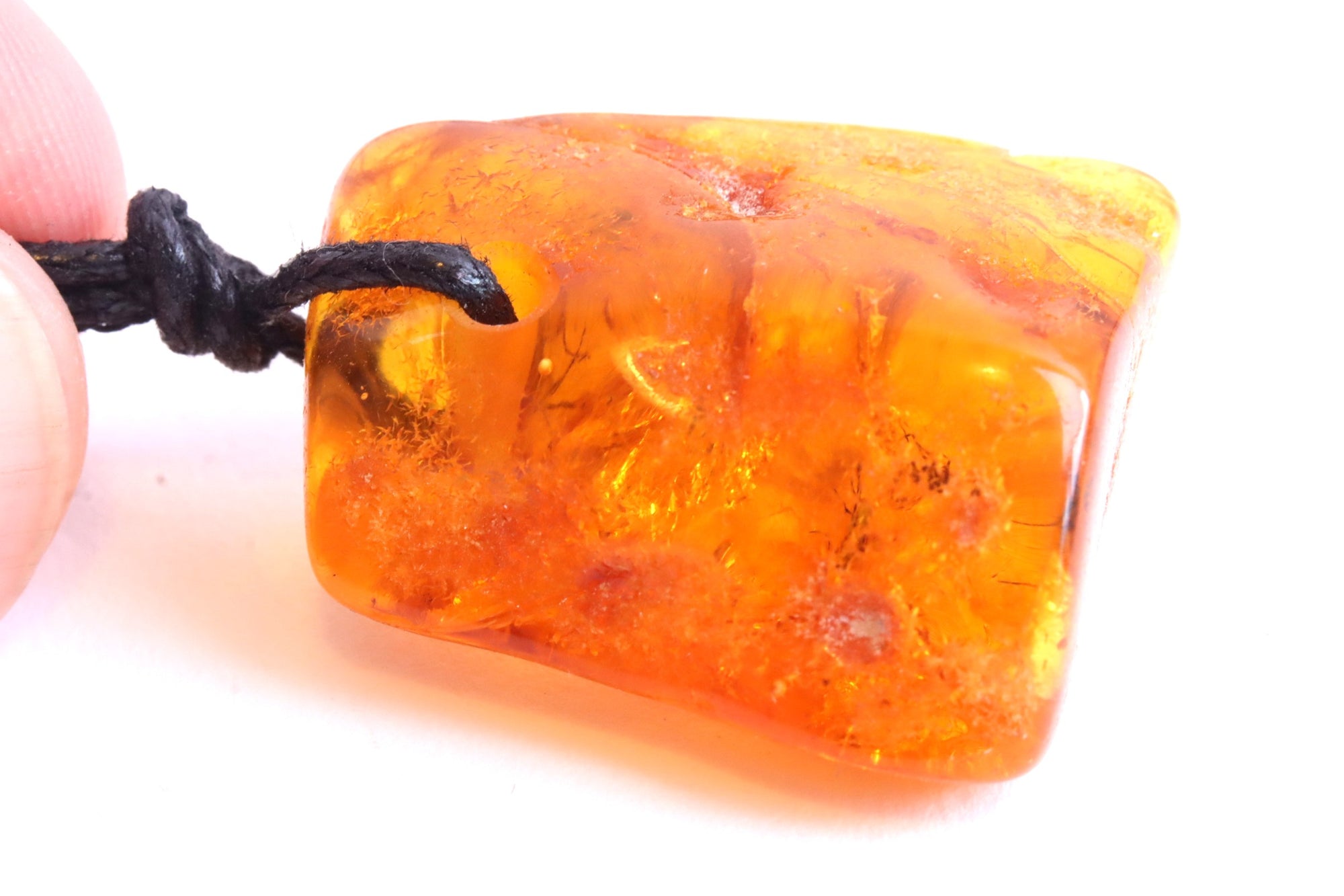 Insects Trapped in Baltic Amber