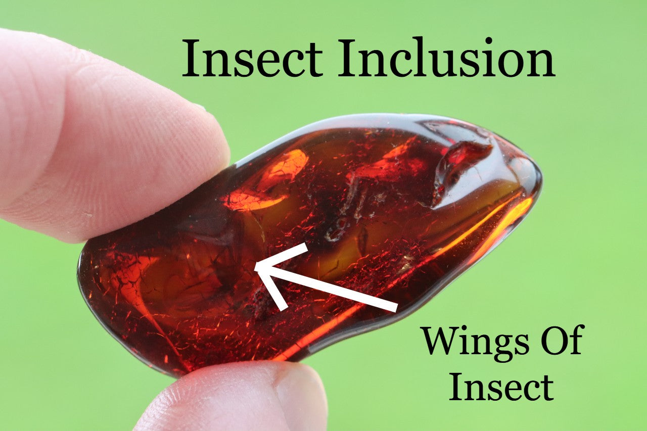 Authentic Baltic Amber With Wings of Insect Inclusion