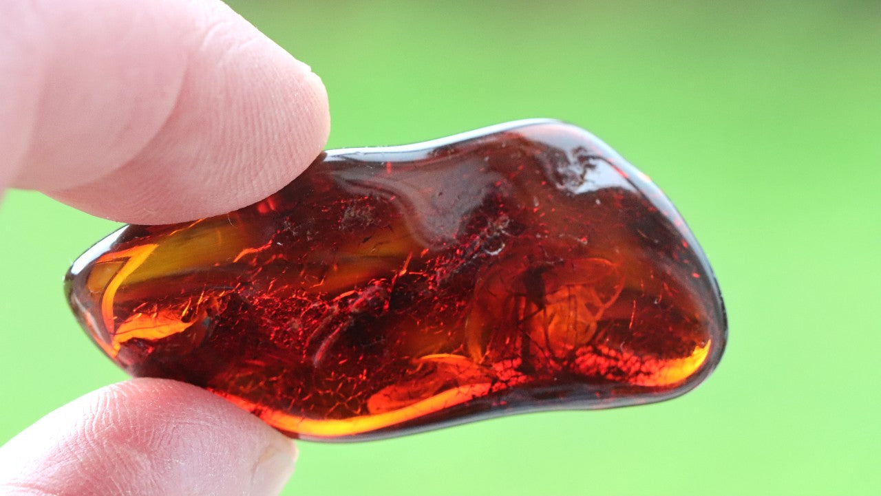 Authentic Baltic Amber With Wings of Insect Inclusion