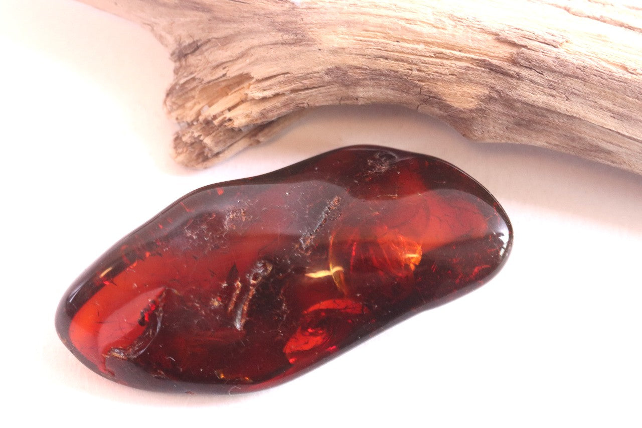 Authentic Baltic Amber With Wings of Insect Inclusion