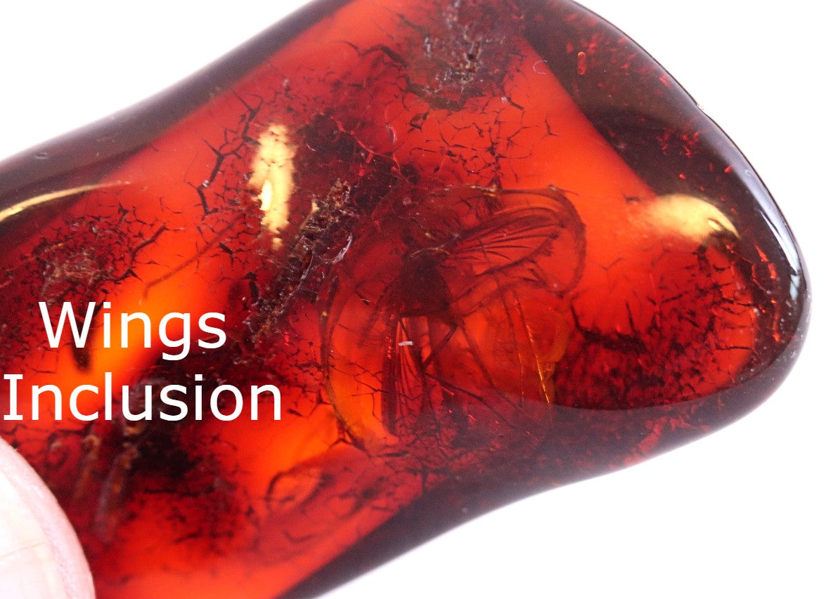 Authentic Baltic Amber With Wings of Insect Inclusion