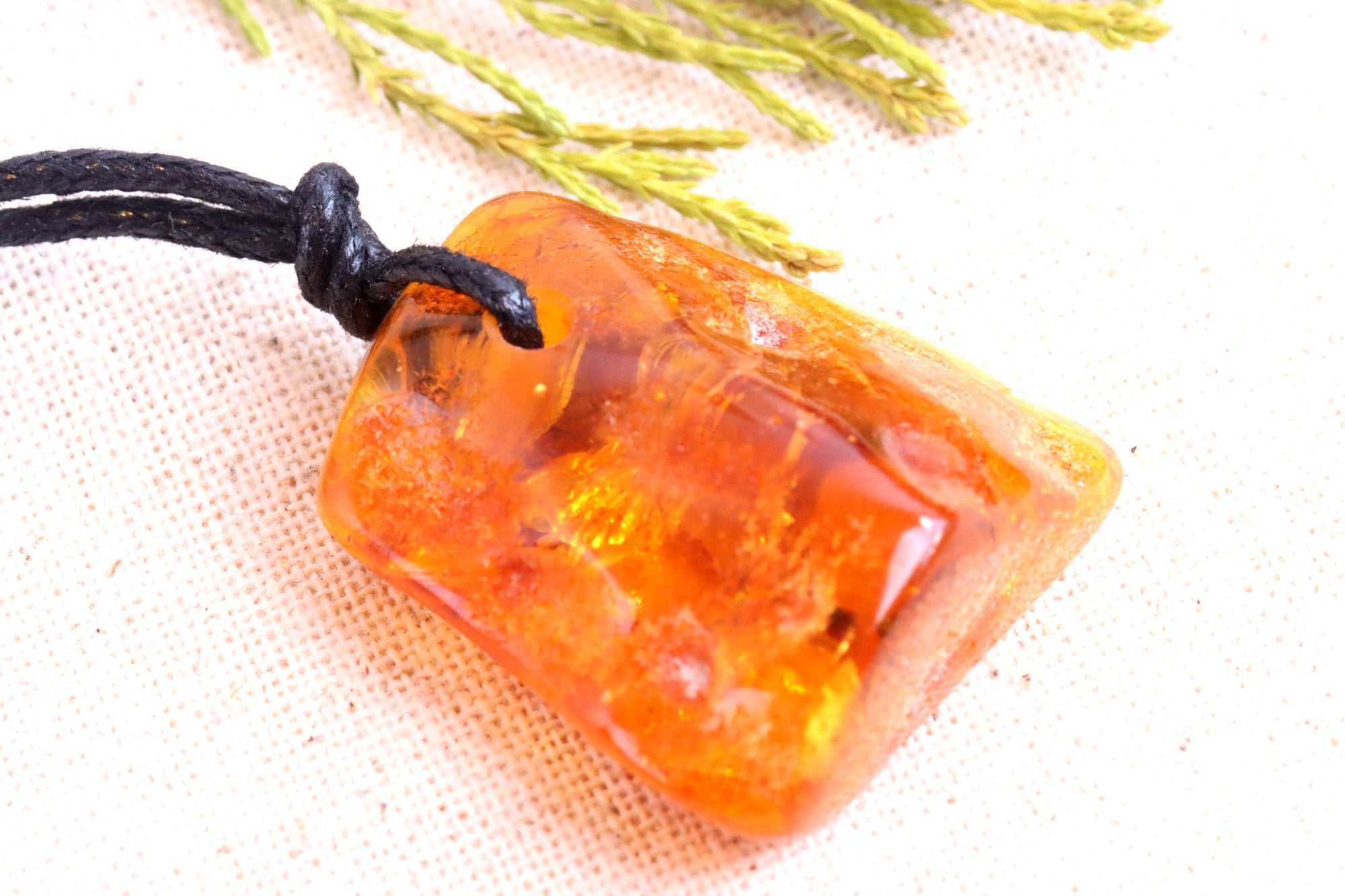 Insects Trapped in Baltic Amber