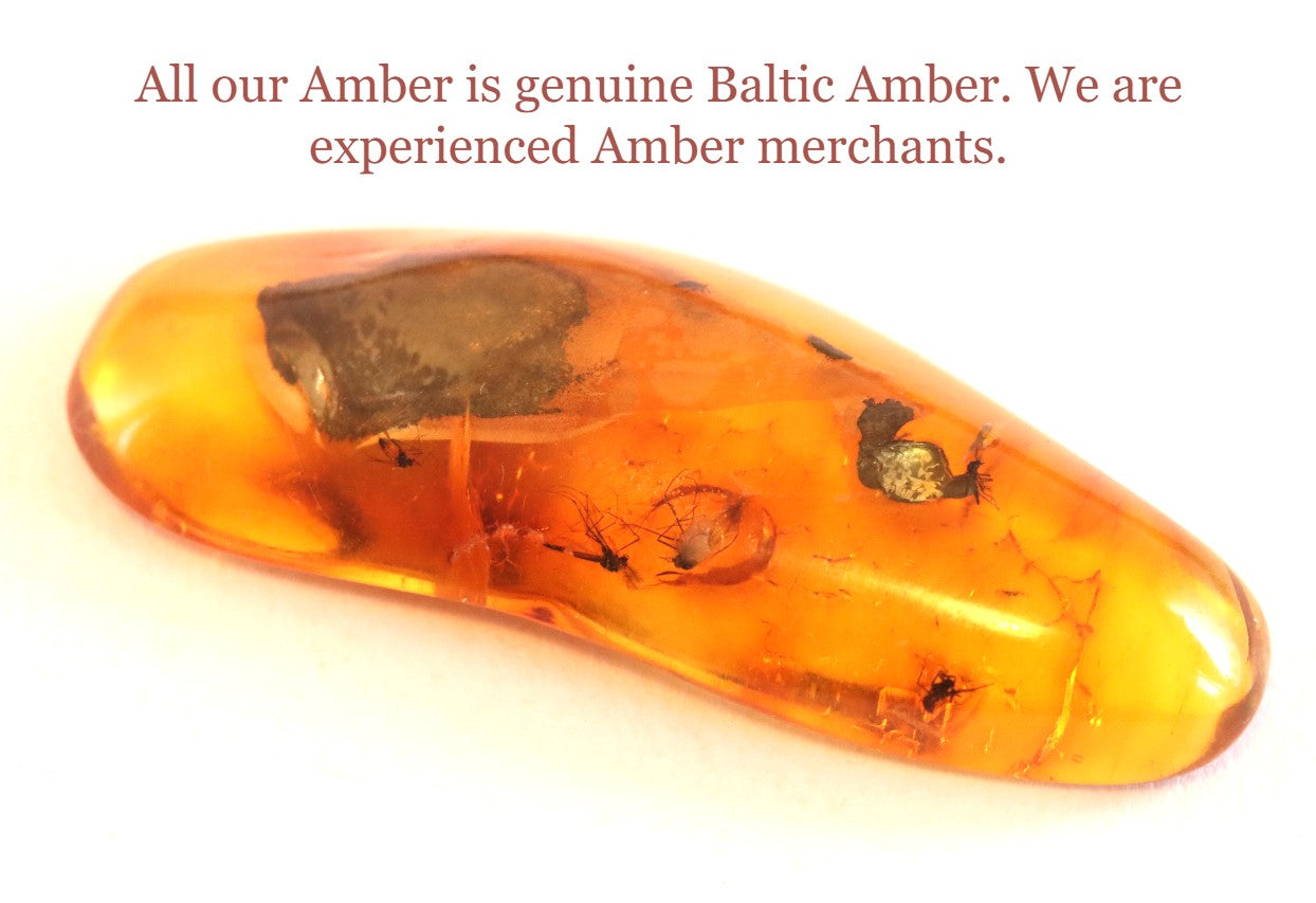 Collector's Amber gem with 6 X 40 million year old Insect Inclusion