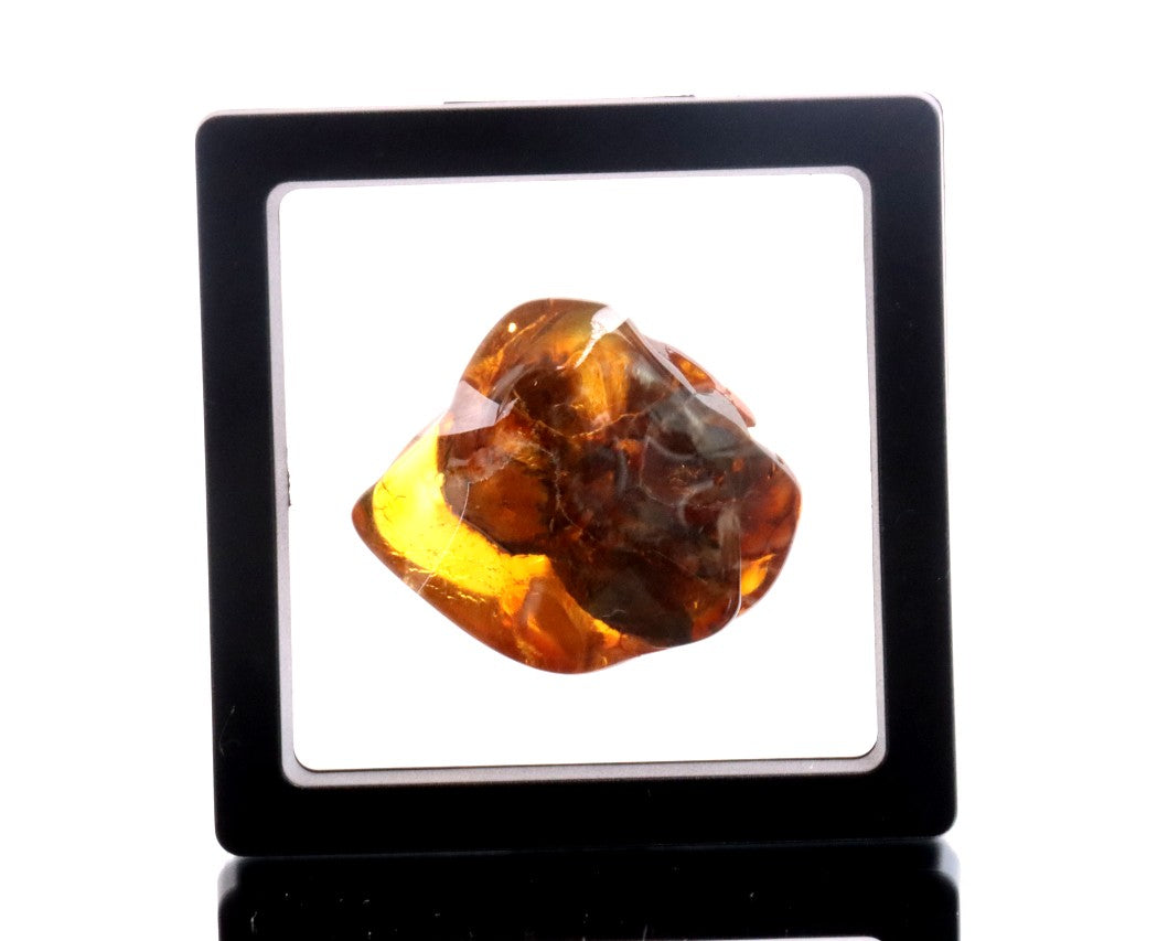 A truly radiant amber stone