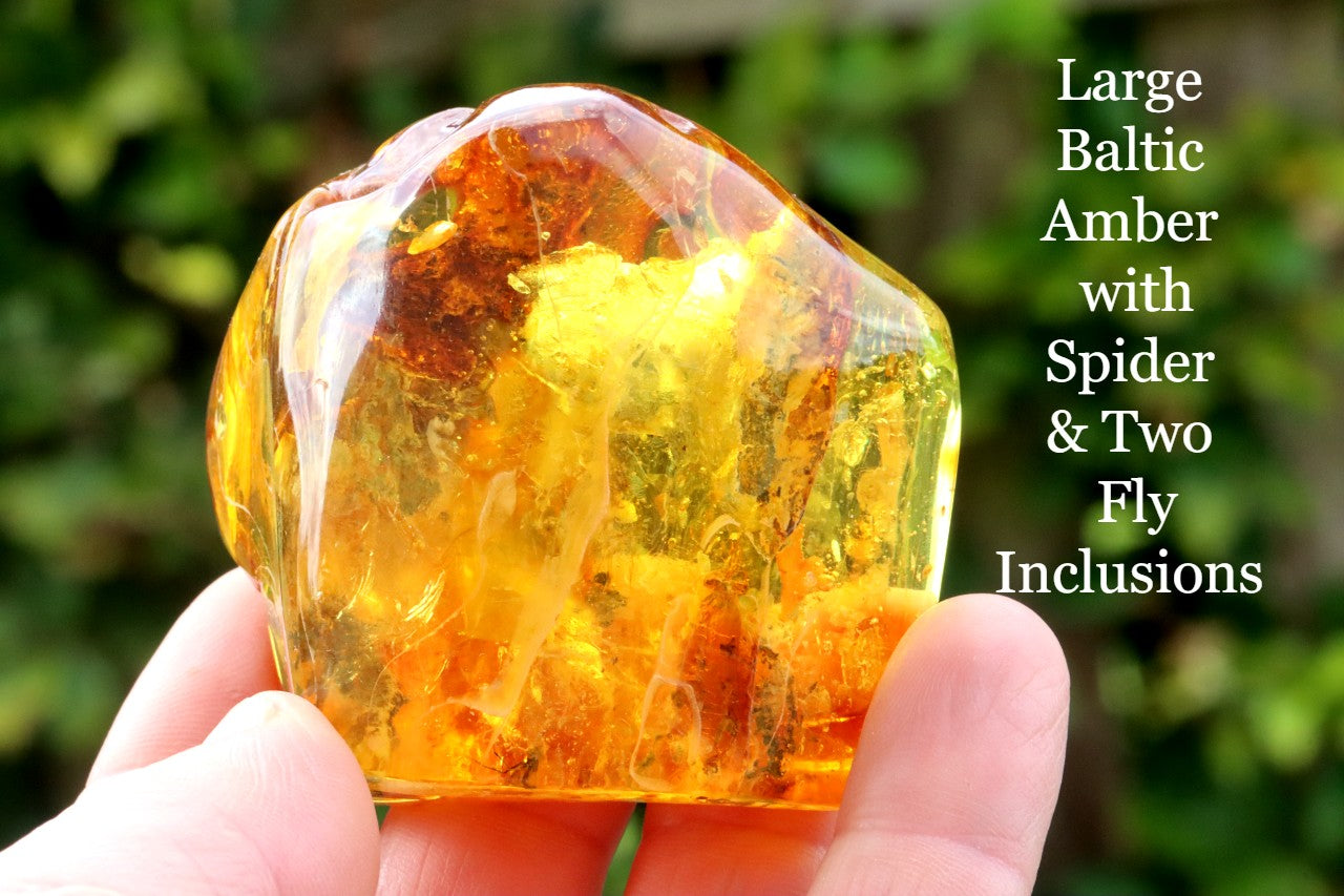 Unusual Large Baltic Amber With Spider and Fly Inclusions