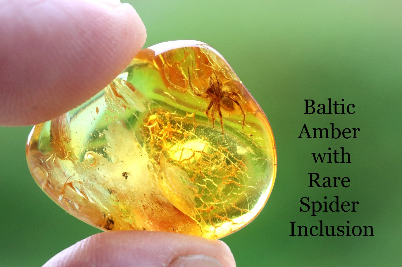 Amber Spider Inclusion
