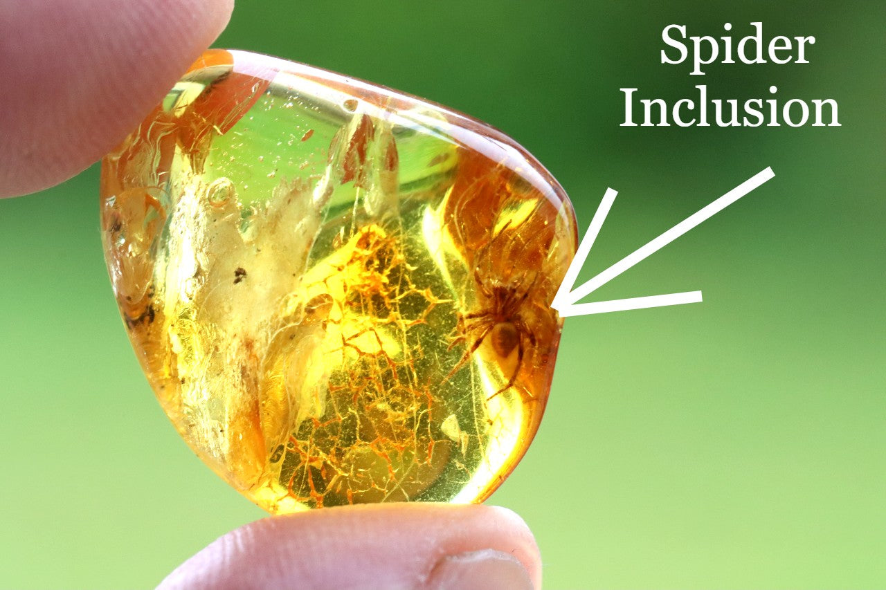 Amber Spider Inclusion