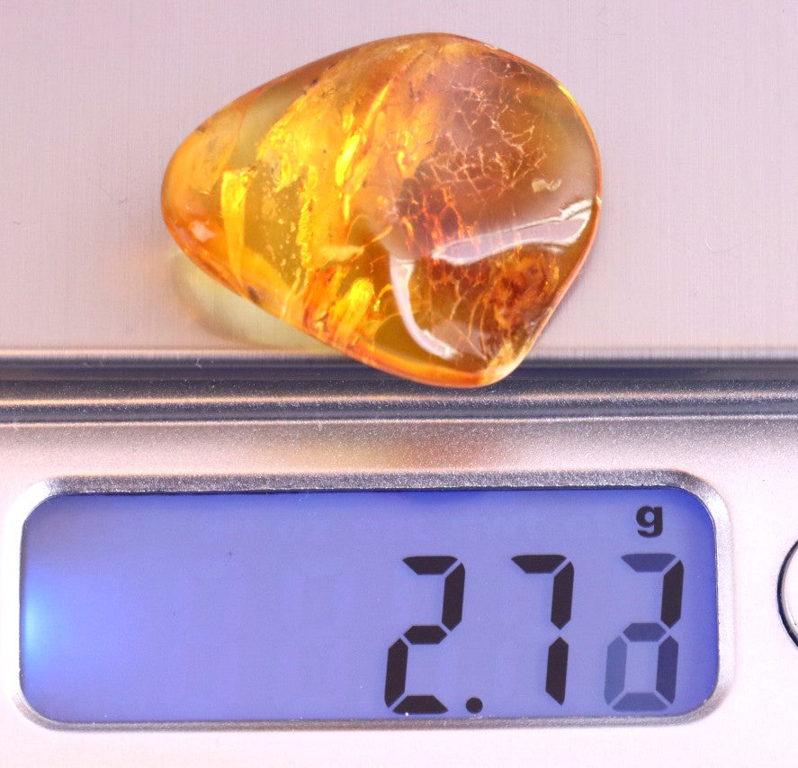 Amber Spider Inclusion