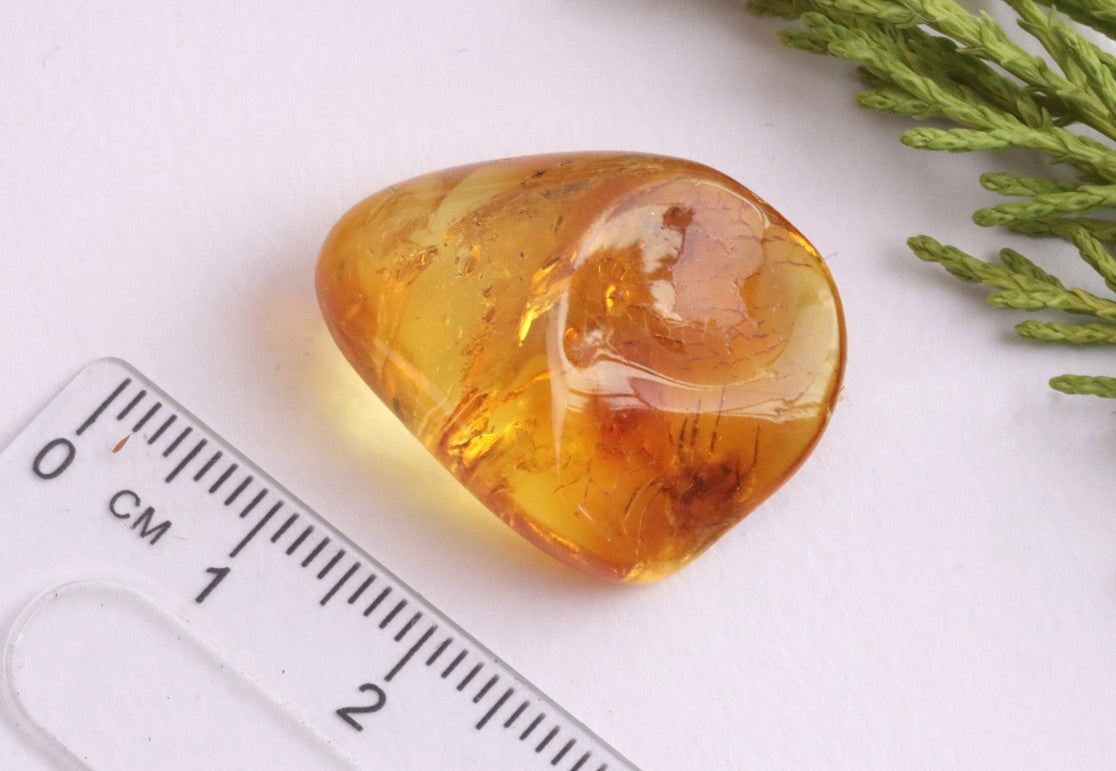 Amber Spider Inclusion