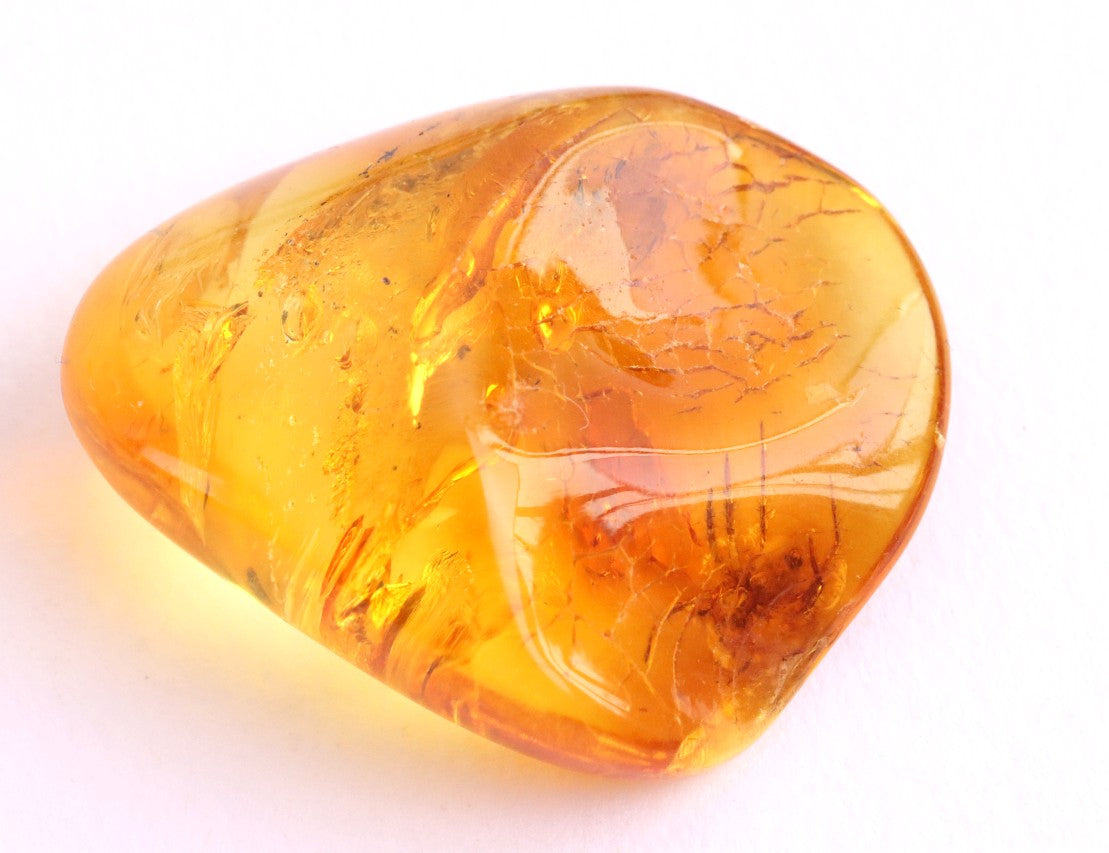 Amber Spider Inclusion