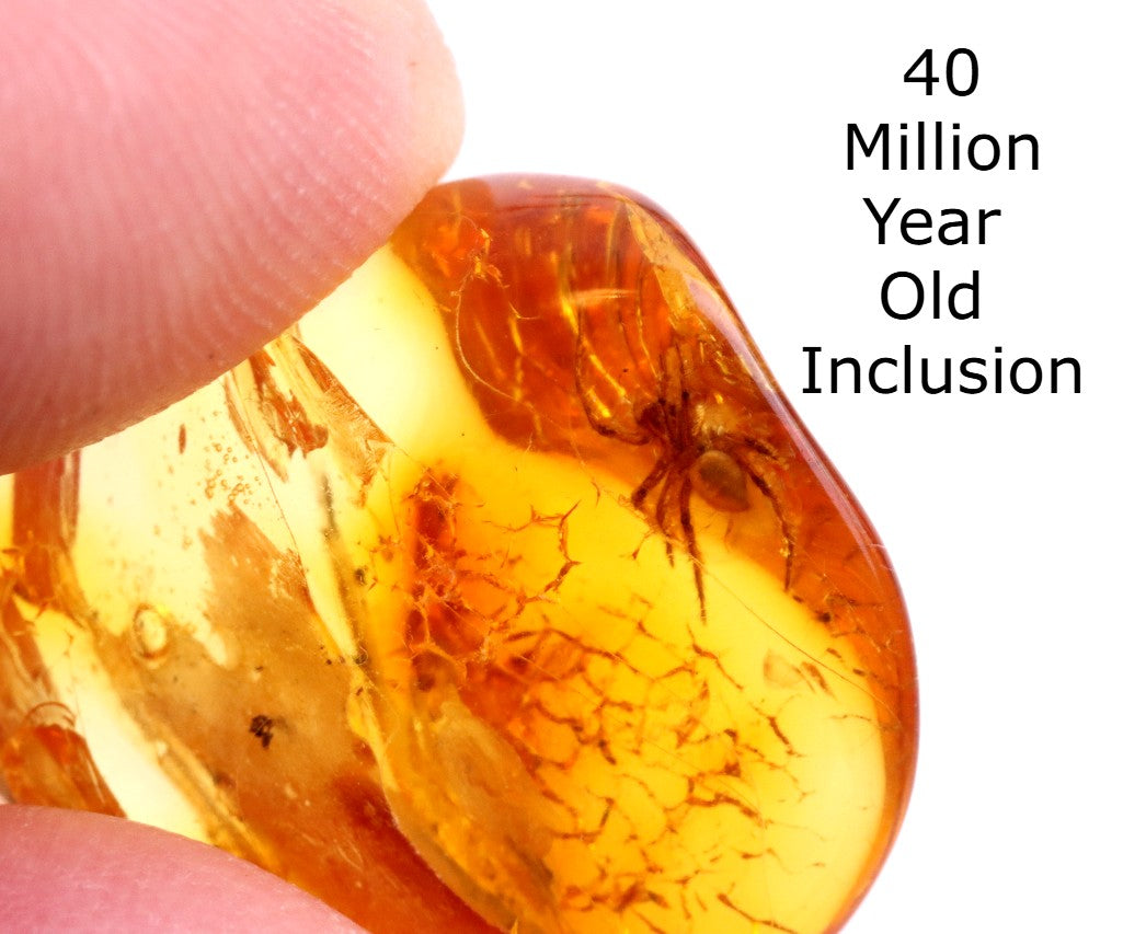 Amber Spider Inclusion