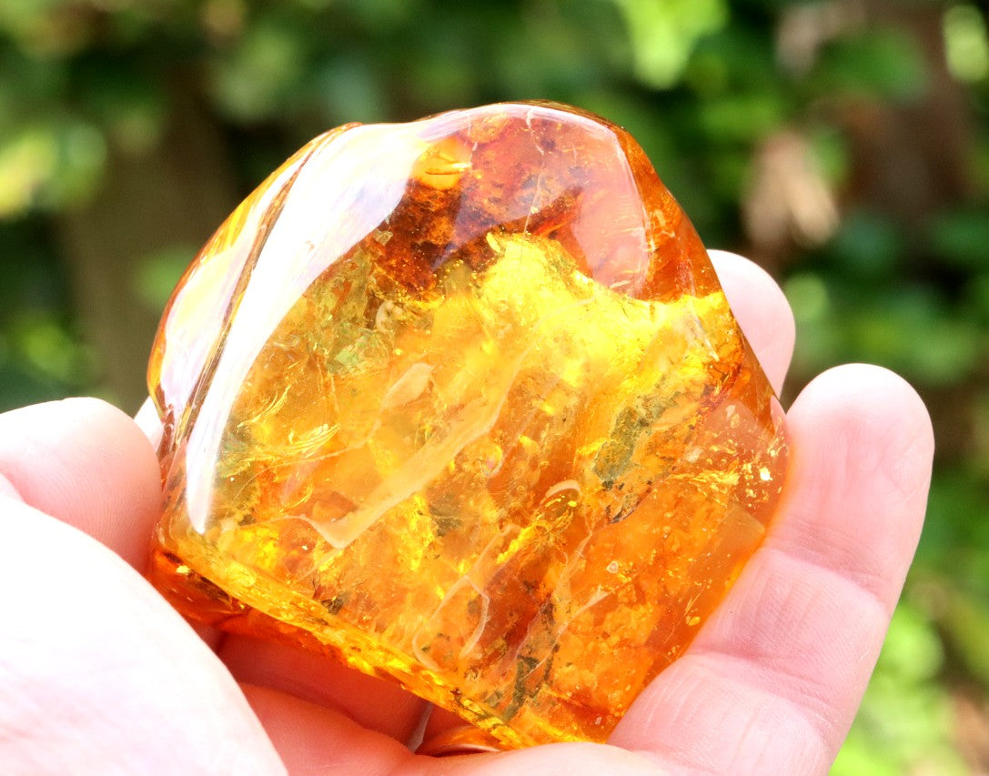 Unusual Large Baltic Amber With Spider and Fly Inclusions