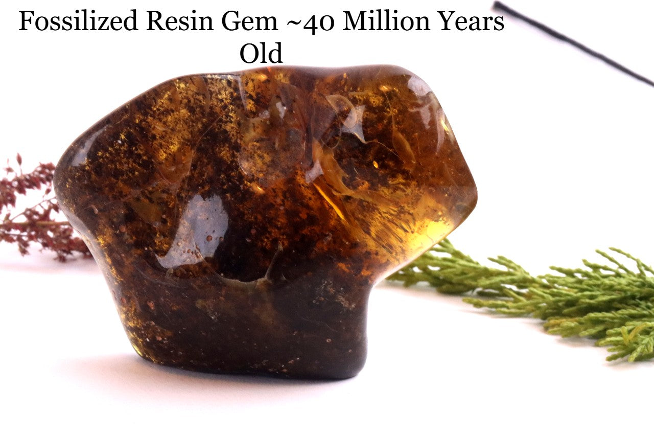 Unique Dark Baltic Amber Meditation Stone