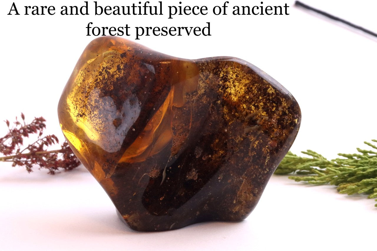 Unique Dark Baltic Amber Meditation Stone