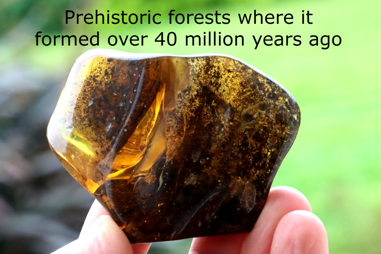 Unique Dark Baltic Amber Meditation Stone