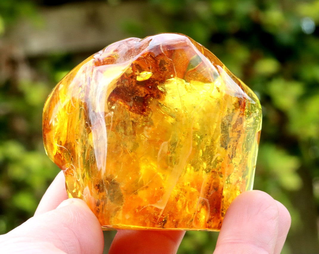 Unusual Large Baltic Amber With Spider and Fly Inclusions