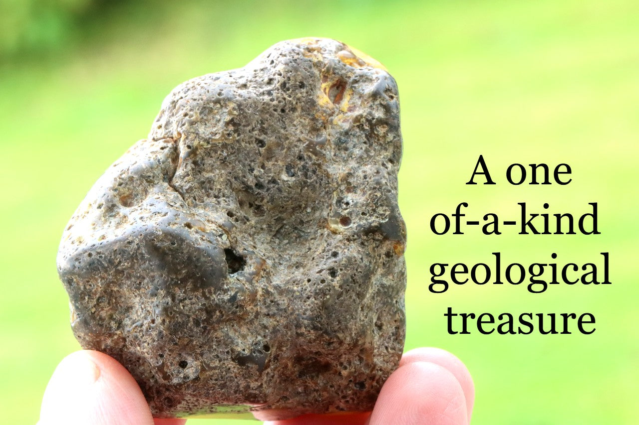 Large Raw & Polished Baltic Amber Specimen