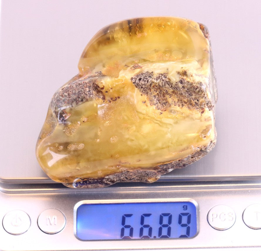 Large Raw & Polished Baltic Amber Specimen
