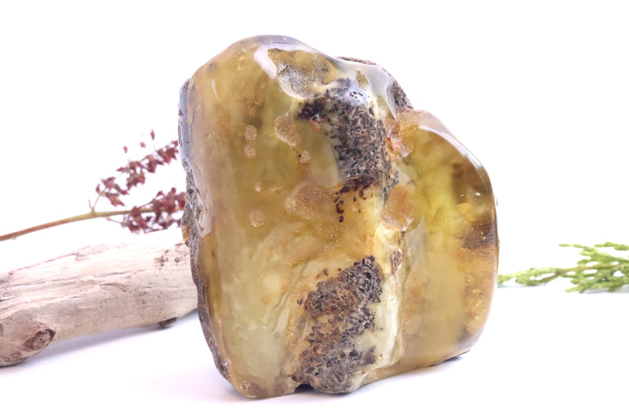 Large Raw & Polished Baltic Amber Specimen