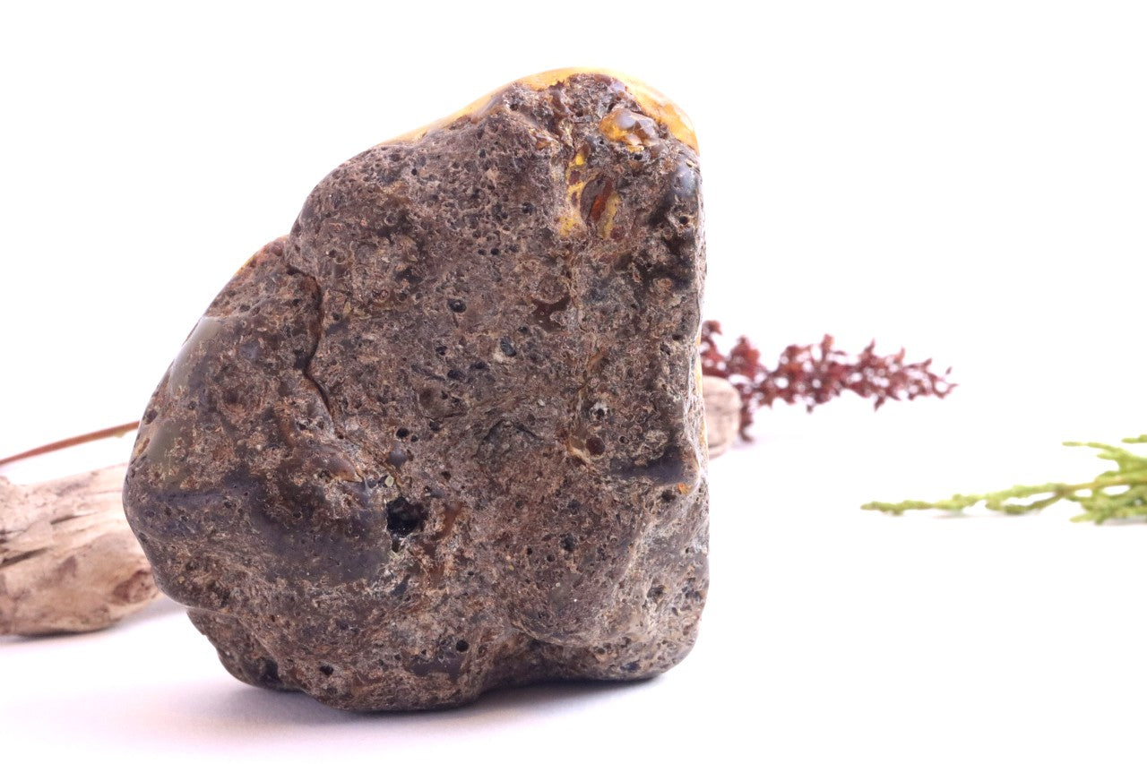 Large Raw & Polished Baltic Amber Specimen