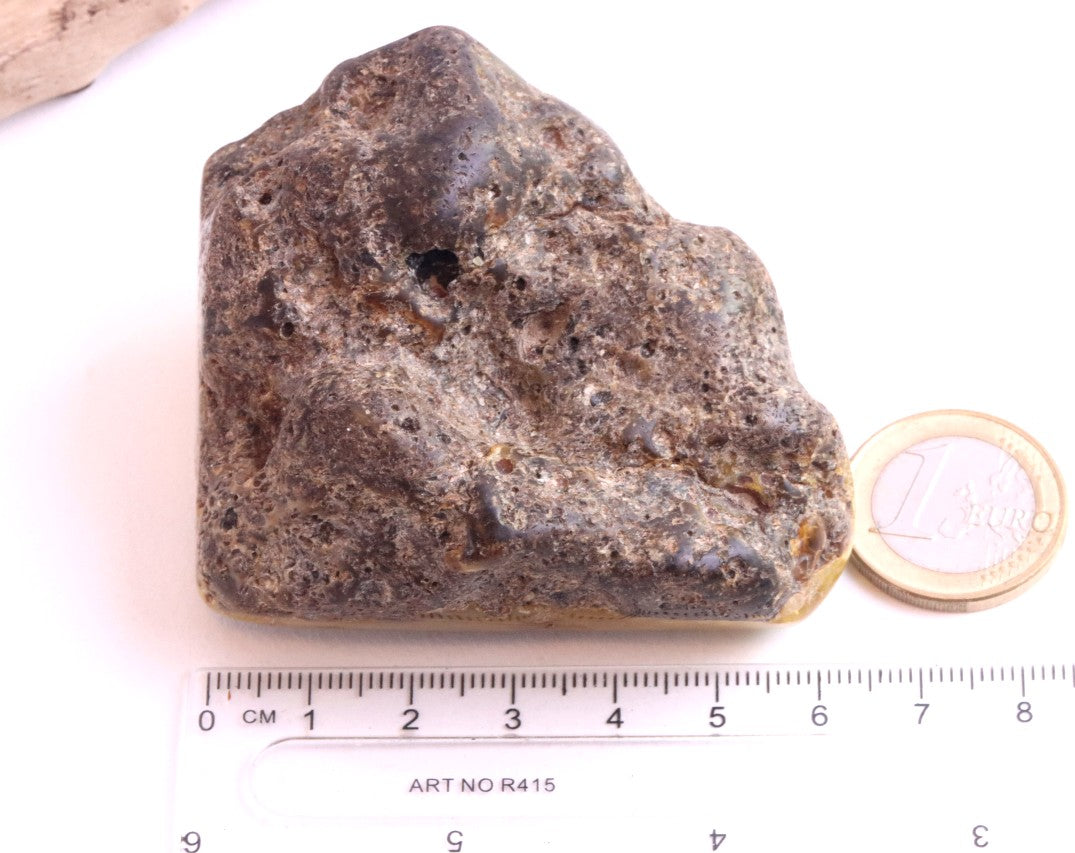 Large Raw & Polished Baltic Amber Specimen