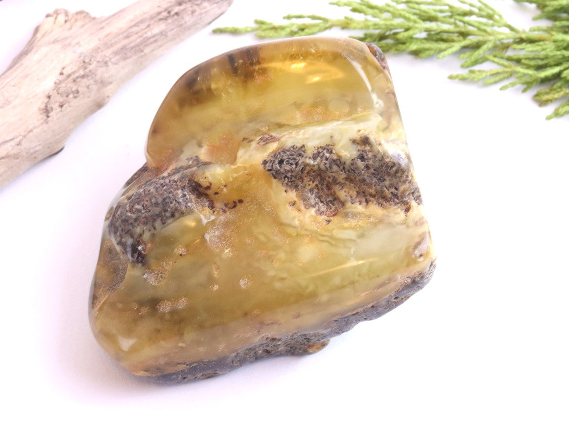 Large Raw & Polished Baltic Amber Specimen