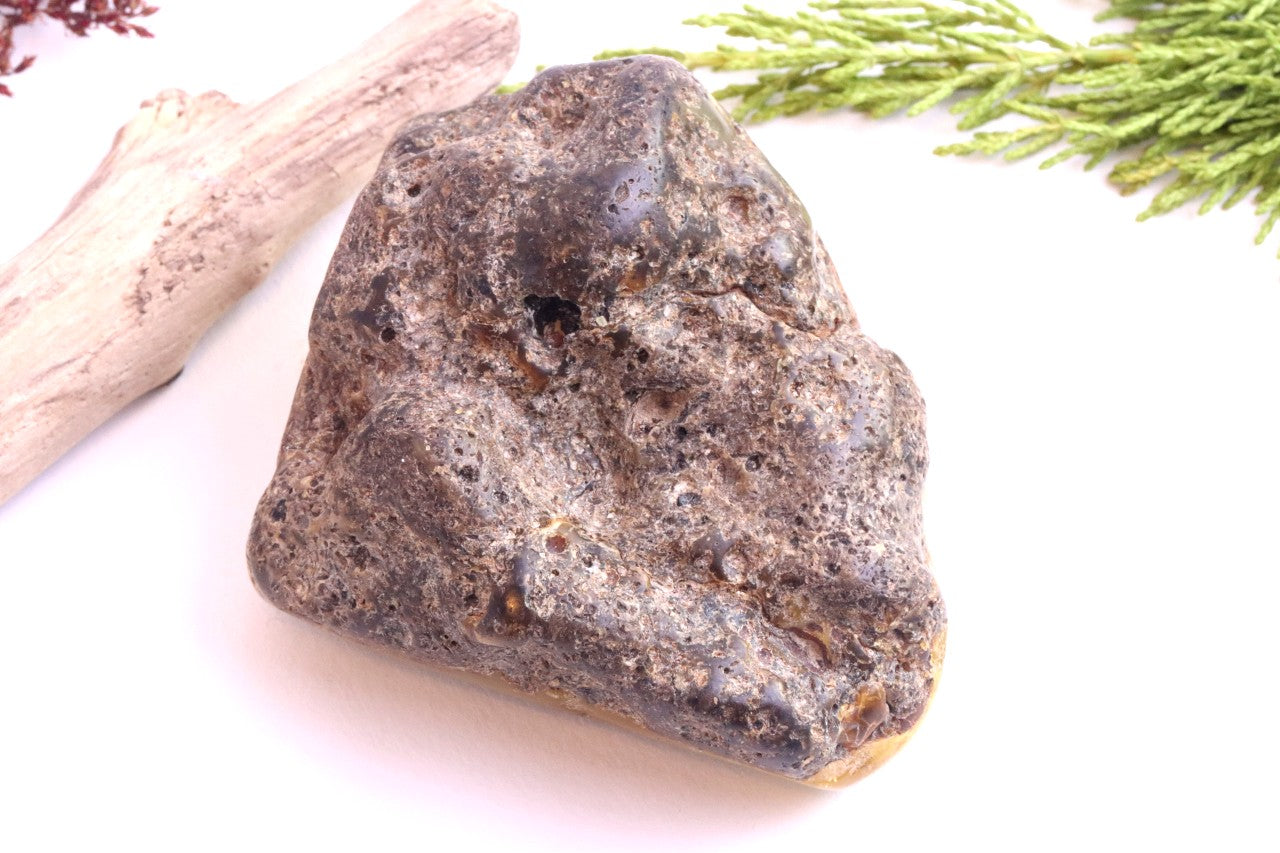 Large Raw & Polished Baltic Amber Specimen