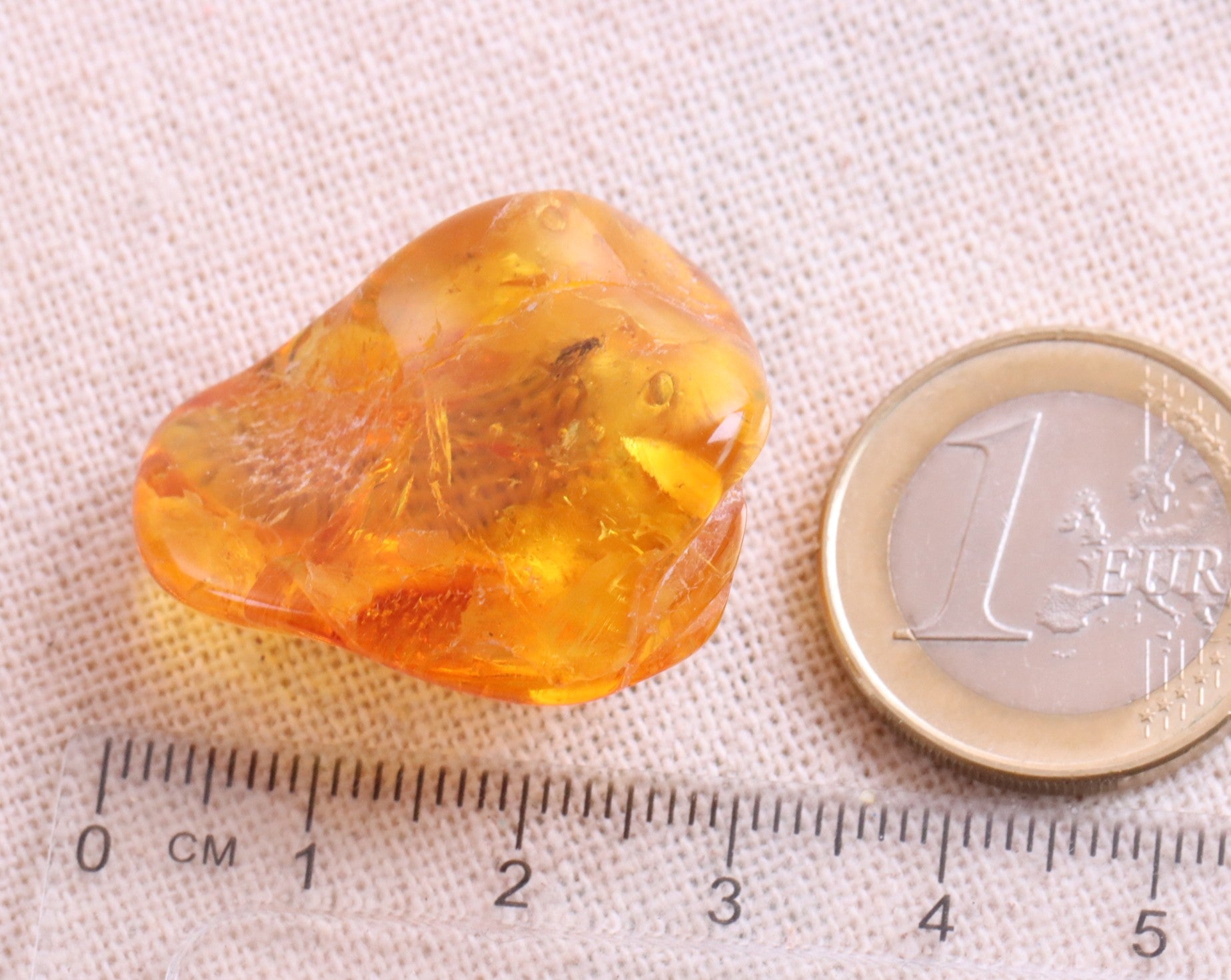 40 million year old Amber With Fly