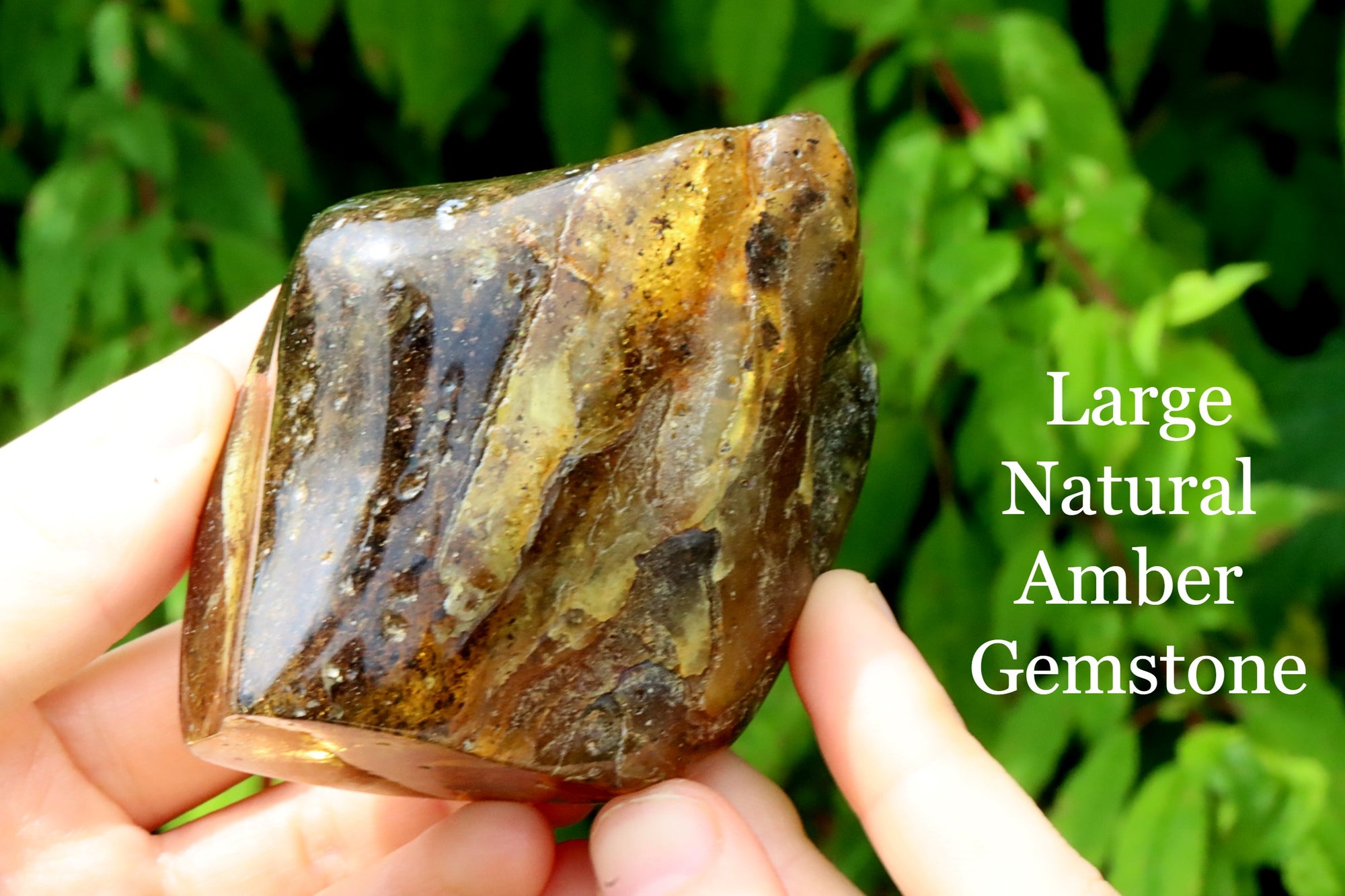 Grade AAA Collector's Specimen Baltic Amber Gemstone