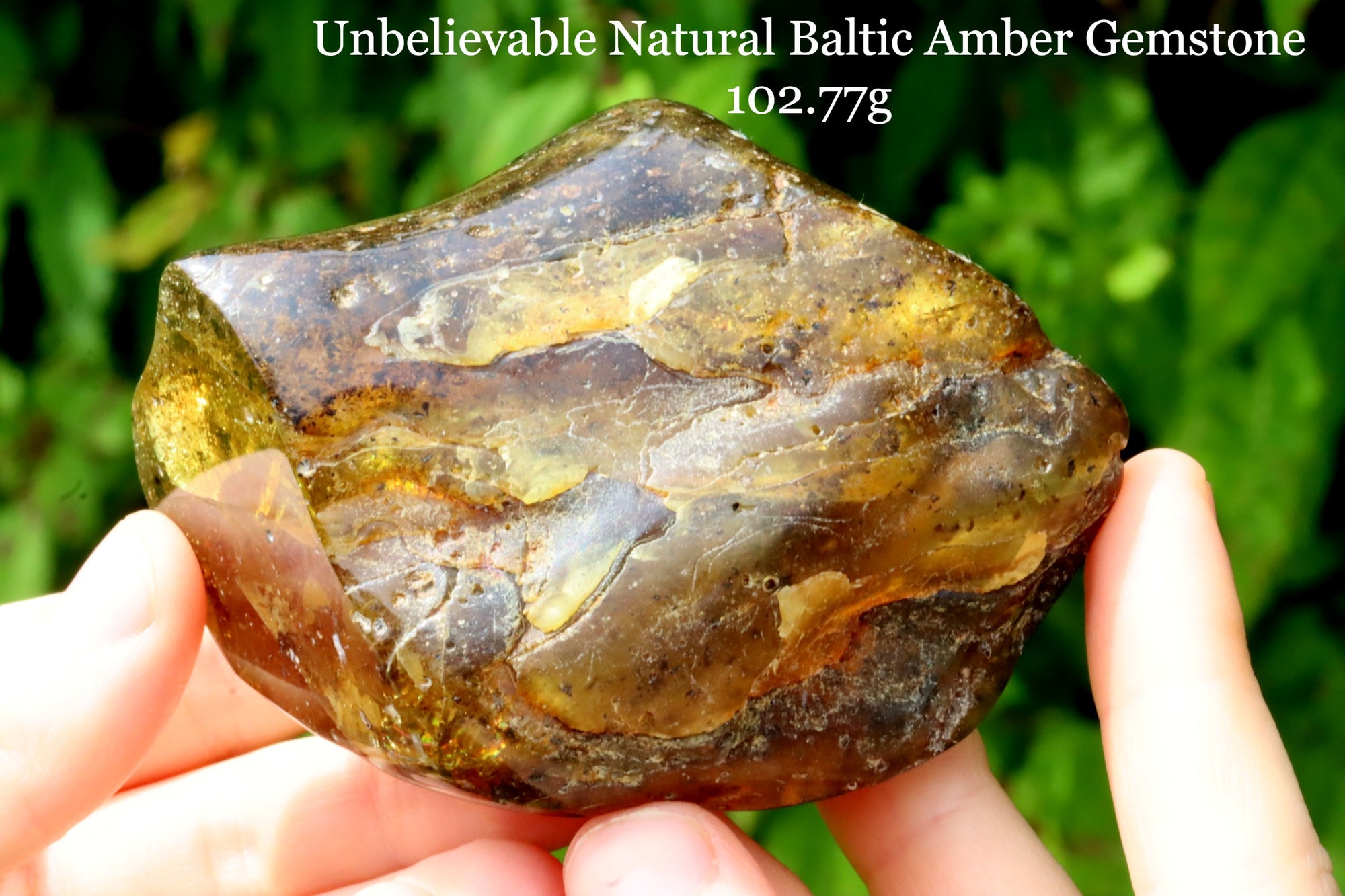 Grade AAA Collector's Specimen Baltic Amber Gemstone