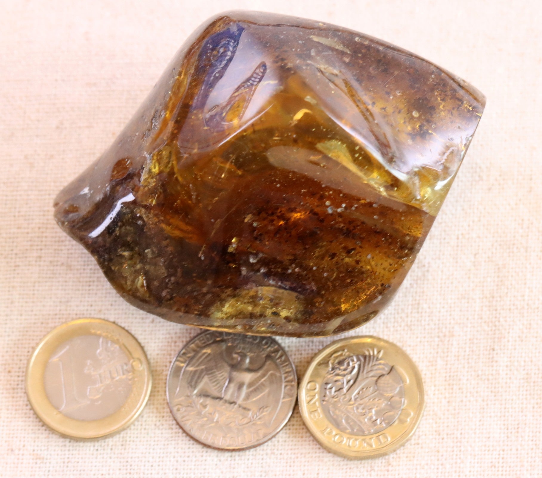 Grade AAA Collector's Specimen Baltic Amber Gemstone