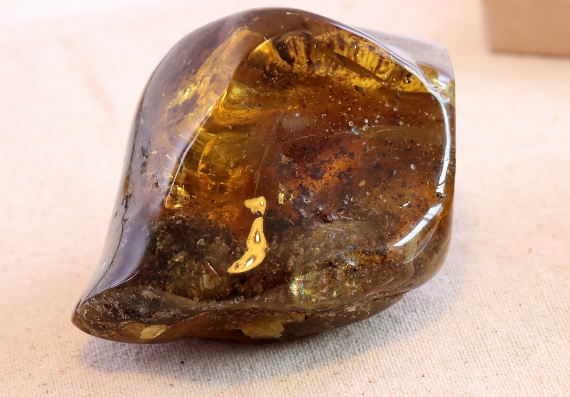 Grade AAA Collector's Specimen Baltic Amber Gemstone