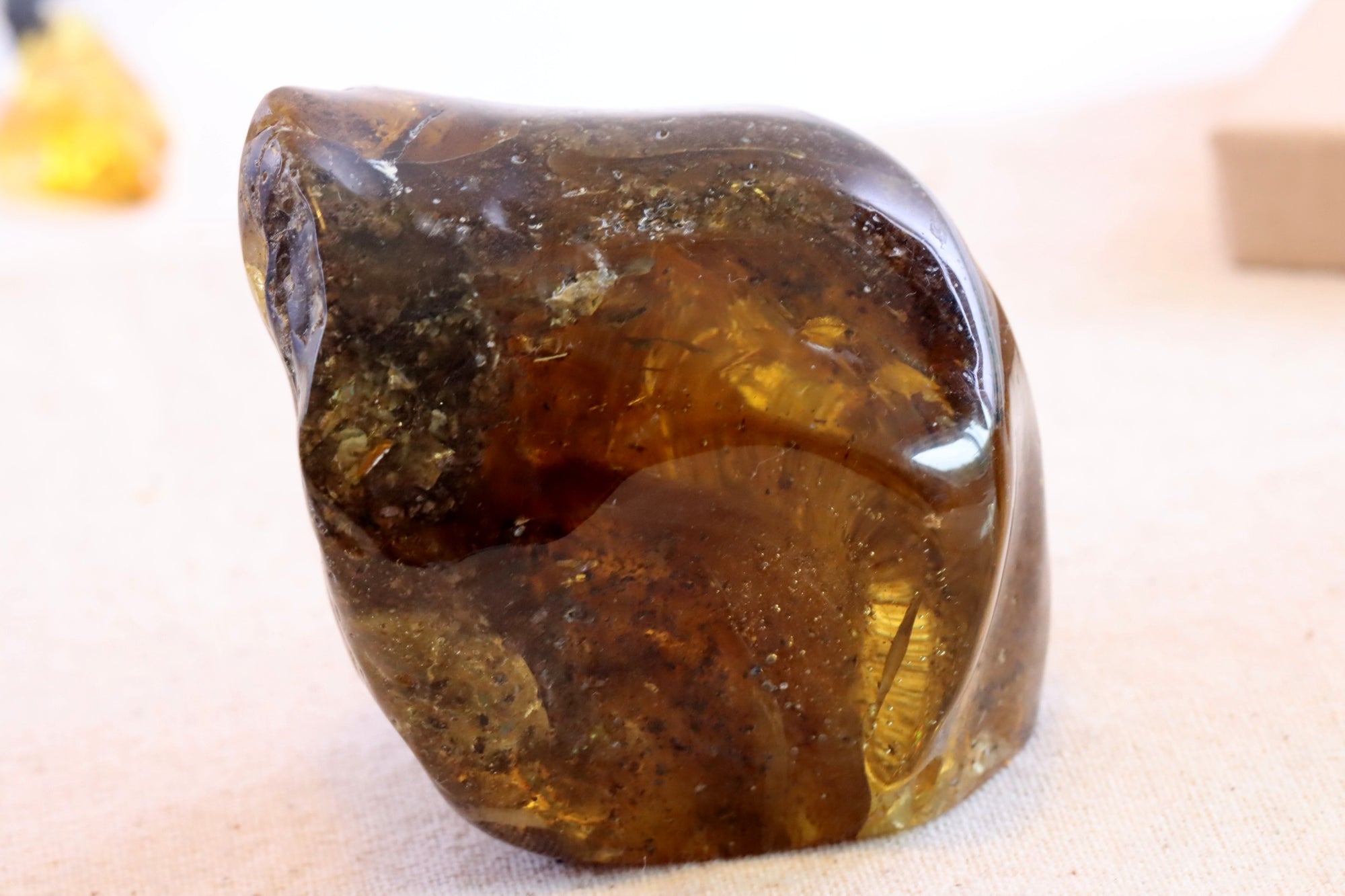 Grade AAA Collector's Specimen Baltic Amber Gemstone