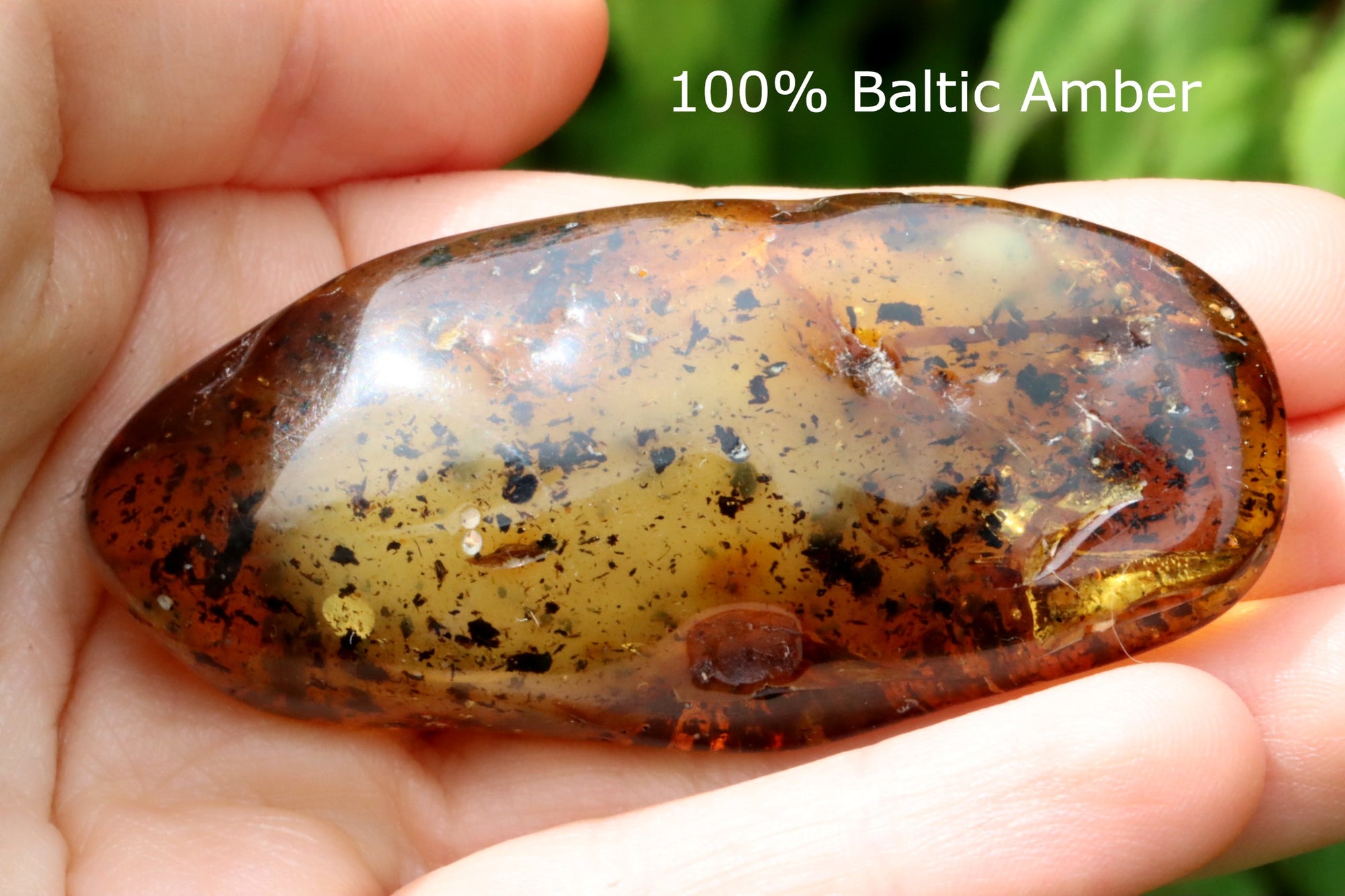 Smooth Baltic Amber Collector's Gemstone