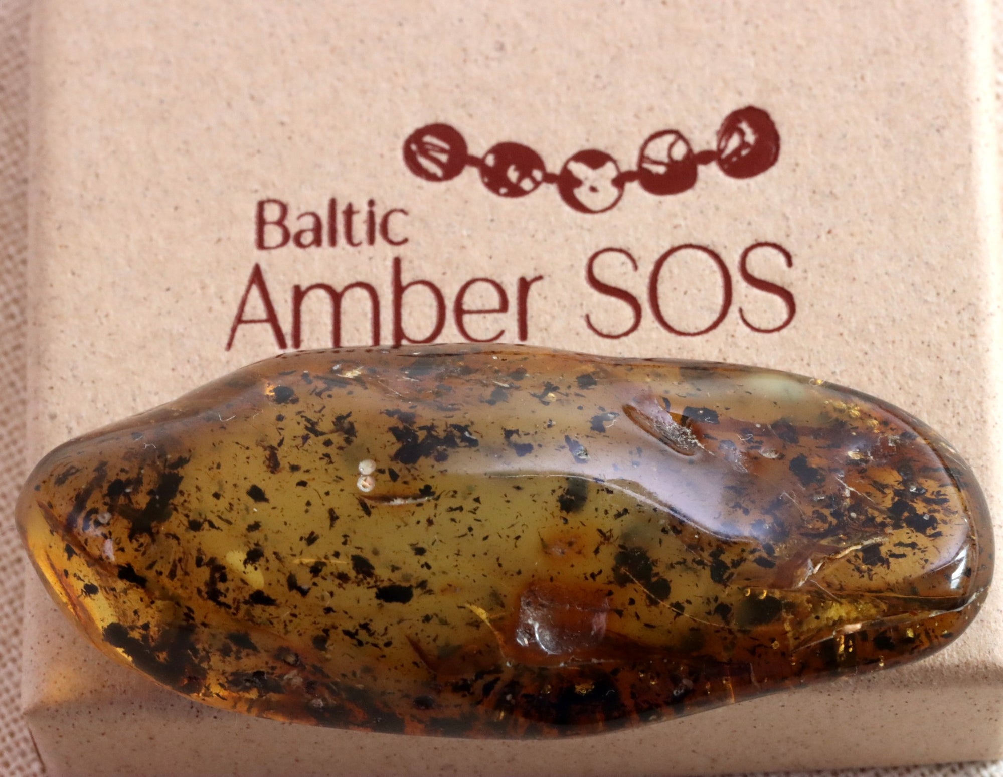 Natural Baltic Amber Collector's Gemstone for Meditation