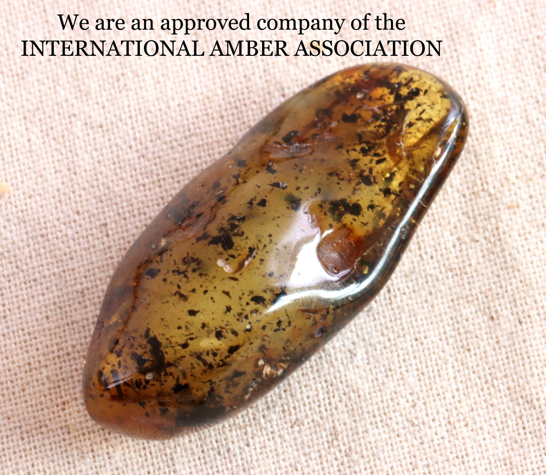 Natural Baltic Amber Collector's Gemstone for Meditation