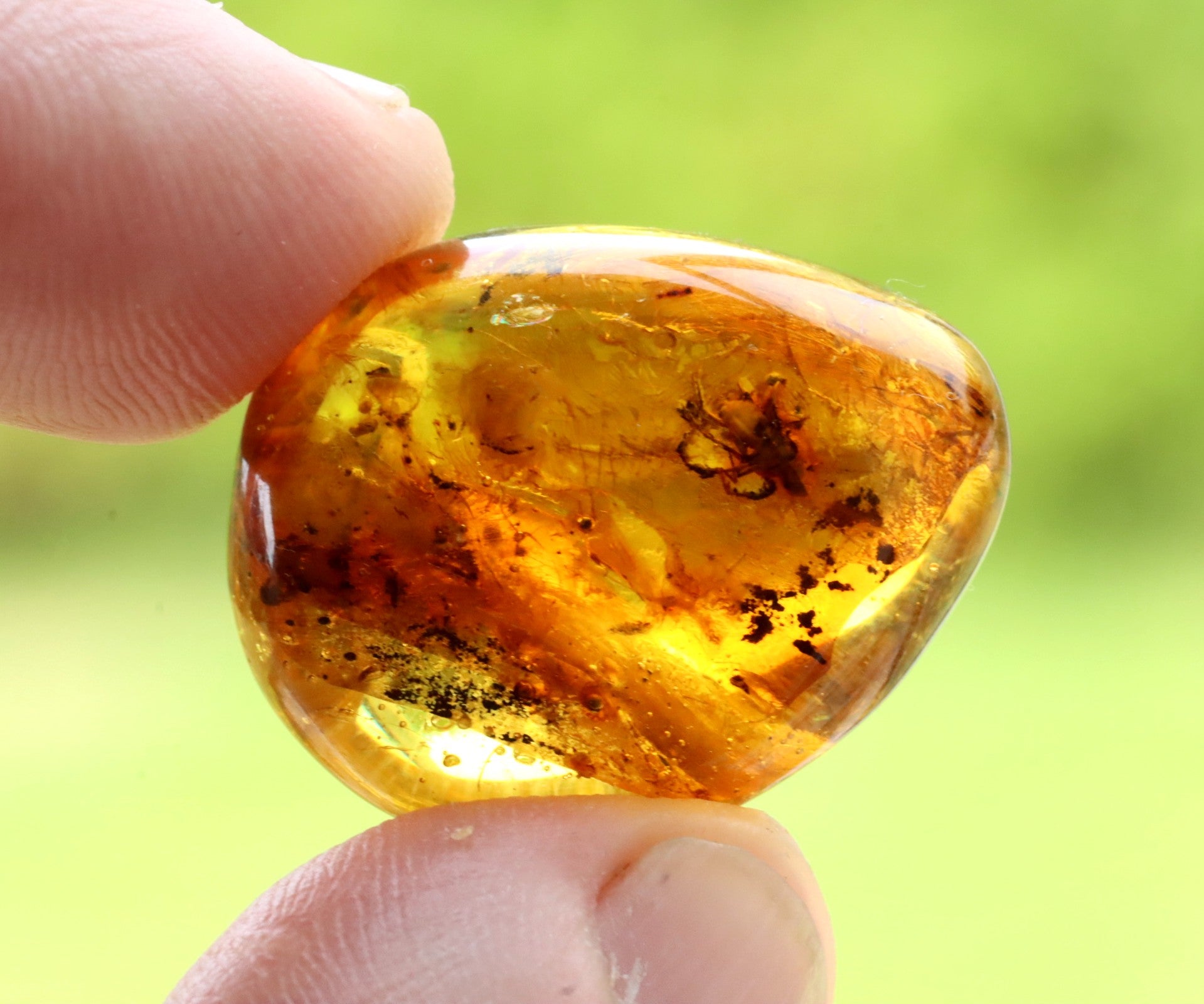 Amber Insect Inclusion