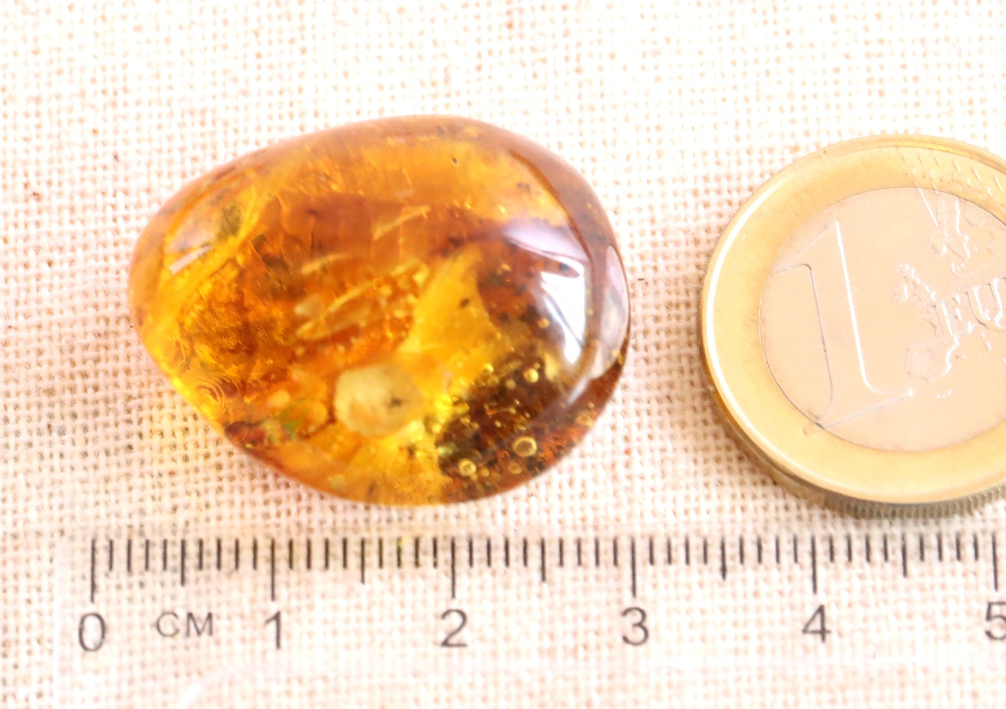 Amber Insect Inclusion