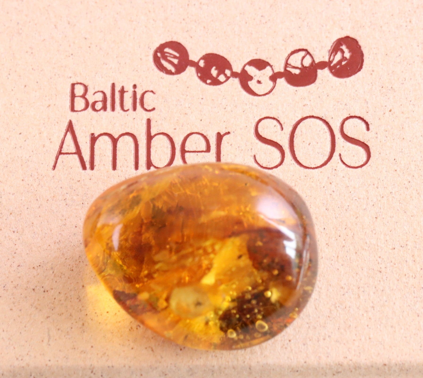 Amber Insect Inclusion