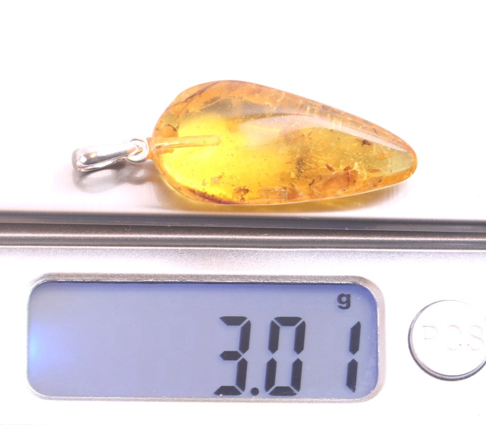 Amber Trapped Fly Pendant