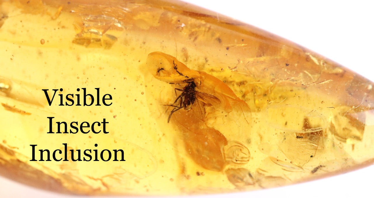 Amber Trapped Fly Pendant