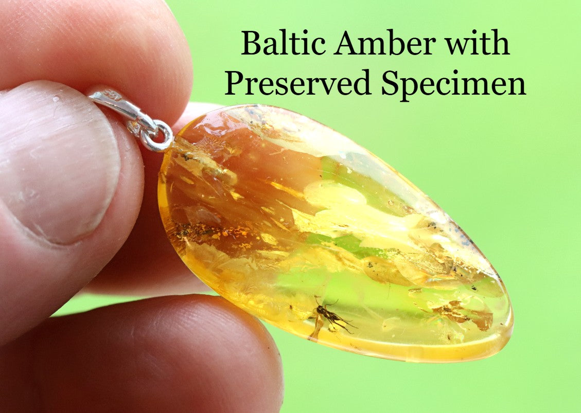 Silver Pendant with Insect