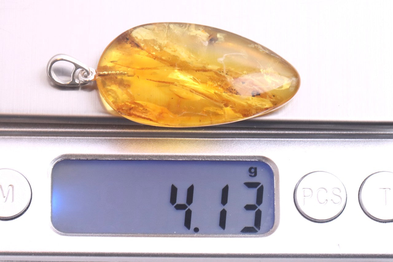 Silver Pendant with Insect