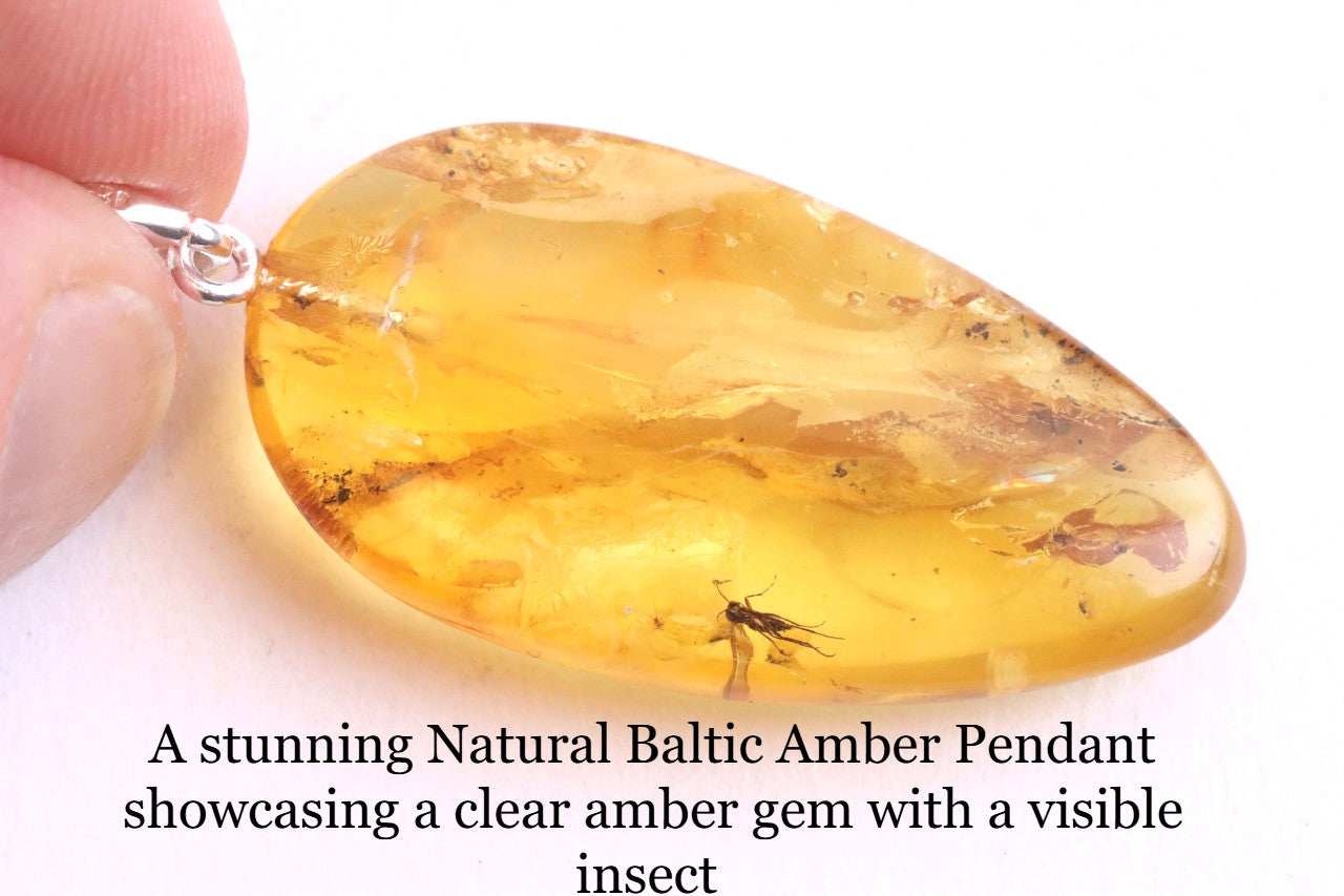 Silver Pendant with Insect