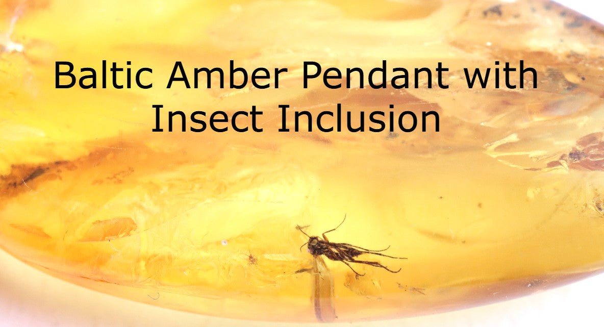 Silver Pendant with Insect